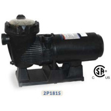 1.5 HP Above-Ground Olympic Pump
